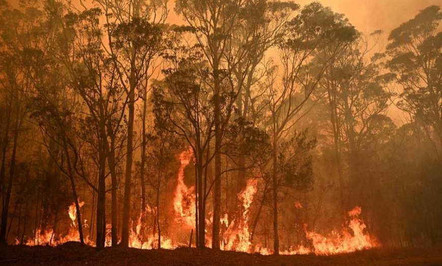 2019 cierra con valores excepcionales de calor y fenómenos meteorológicos devastadores