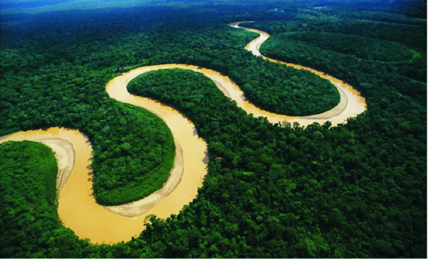 Bolsonaro busca patrocinadores para cuidar 63 millones de hectáreas del Amazonas