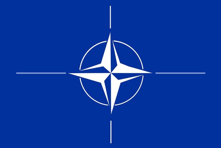 La OTAN, víctima de un ciberataque