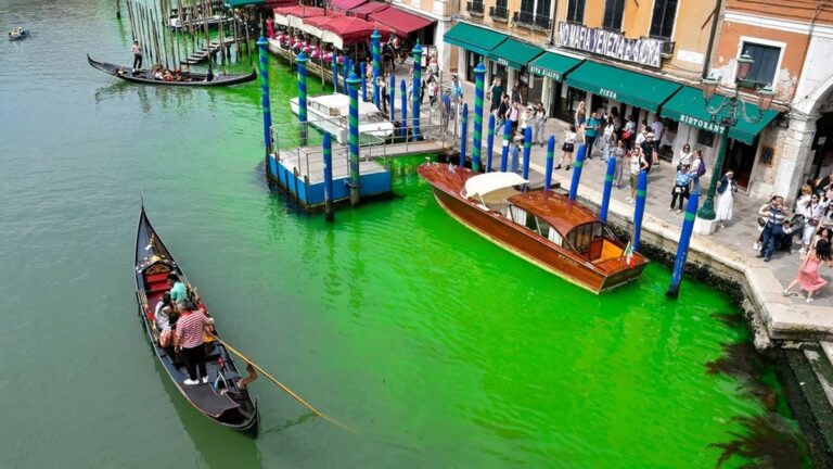 El Gran Canal de Venecia, teñido de verde