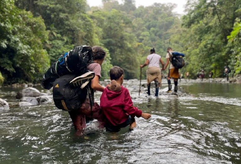 Darién: 227.000 personas ya cruzaron la peligrosa selva en 2023