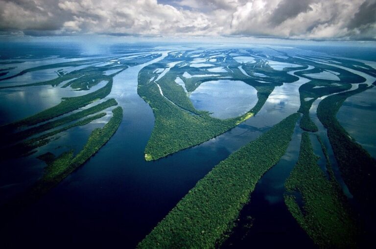 Cumbre en Brasil para frenar la destrucción del Amazonas