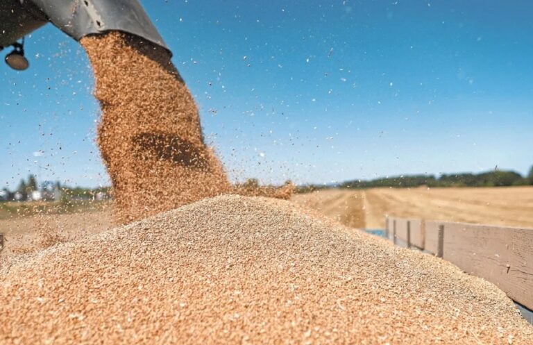 Ucrania podría demandar a Polonia y Hungría ante la OMC