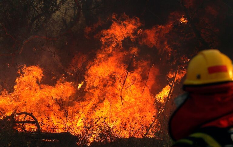 Francia envió bomberos a Bolivia para combatir incendios