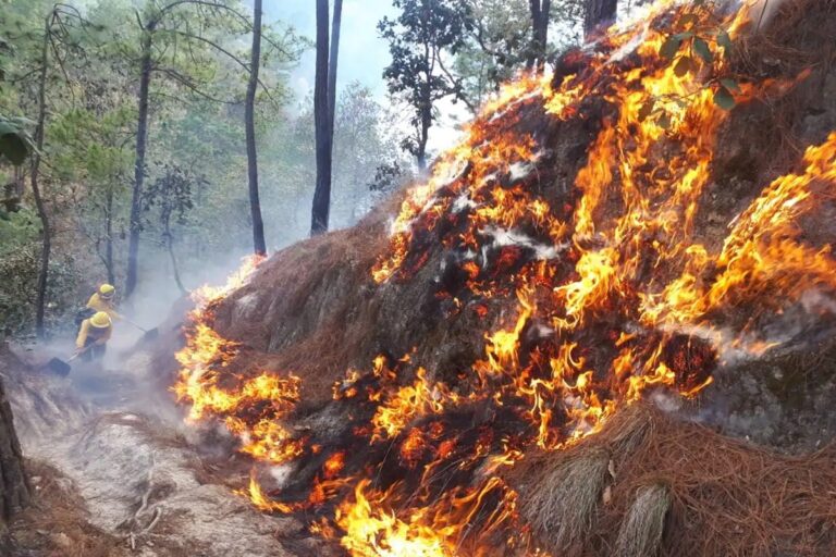 Guatemala: La oposición bloqueó la emergencia por los incendios forestales